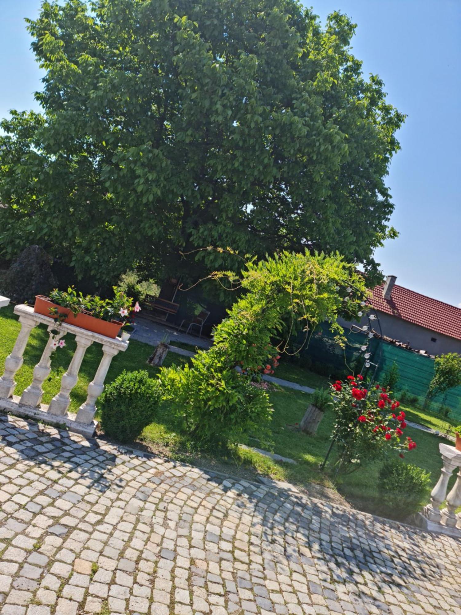 Pensiunea Baroc Dobirlau Екстериор снимка