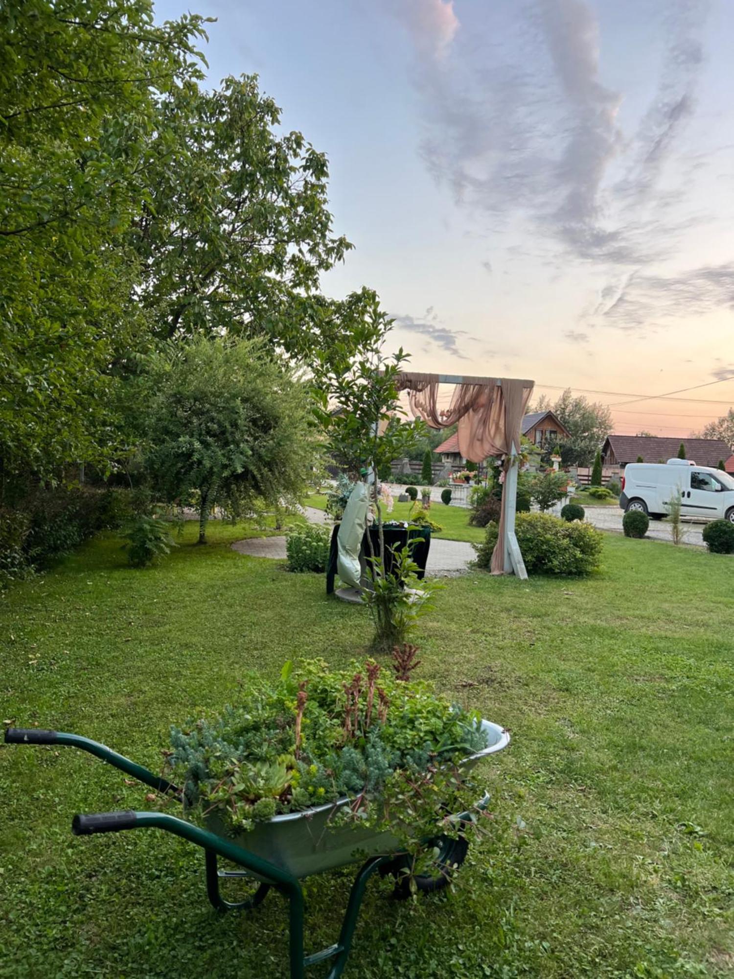 Pensiunea Baroc Dobirlau Екстериор снимка
